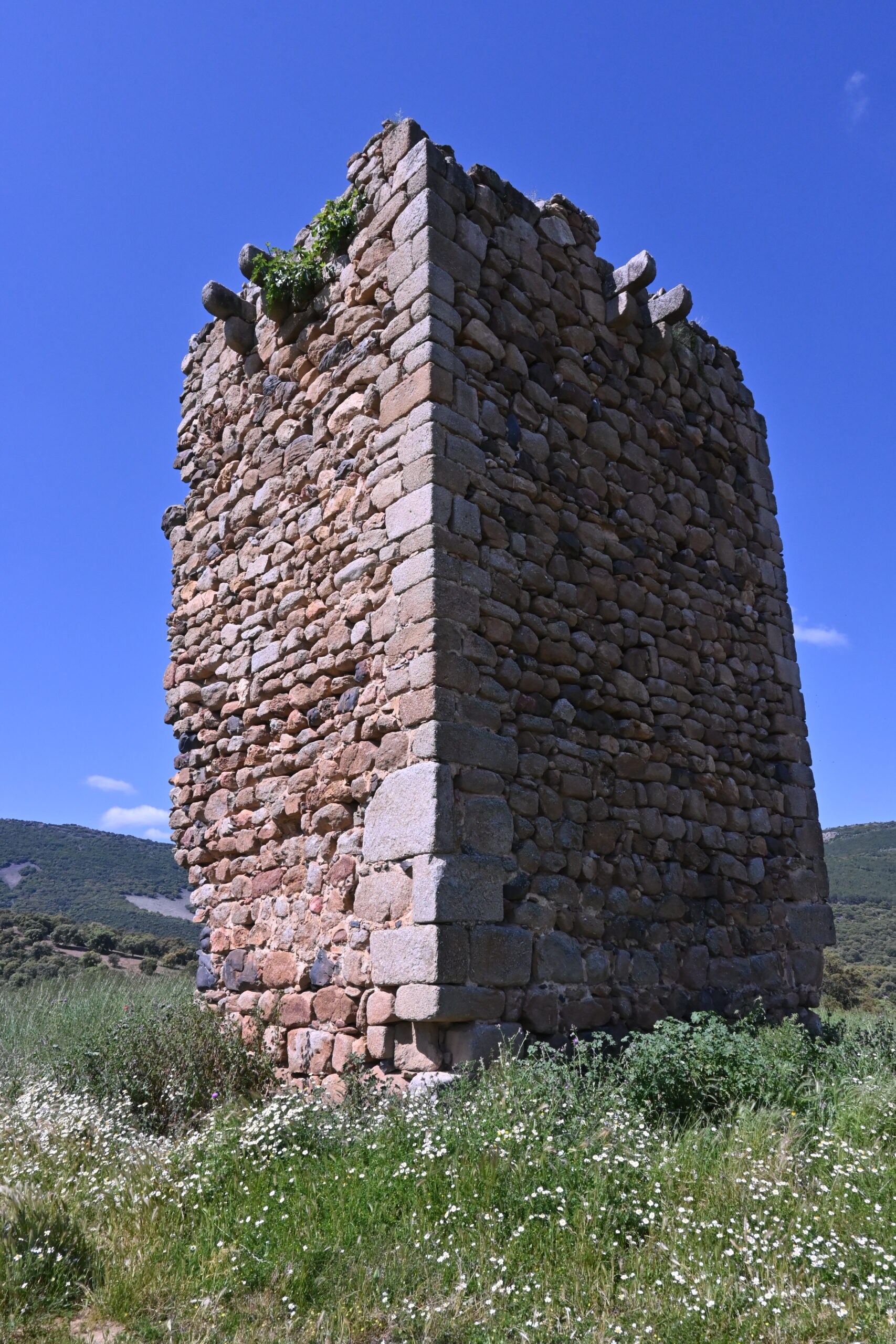 CBC_1496