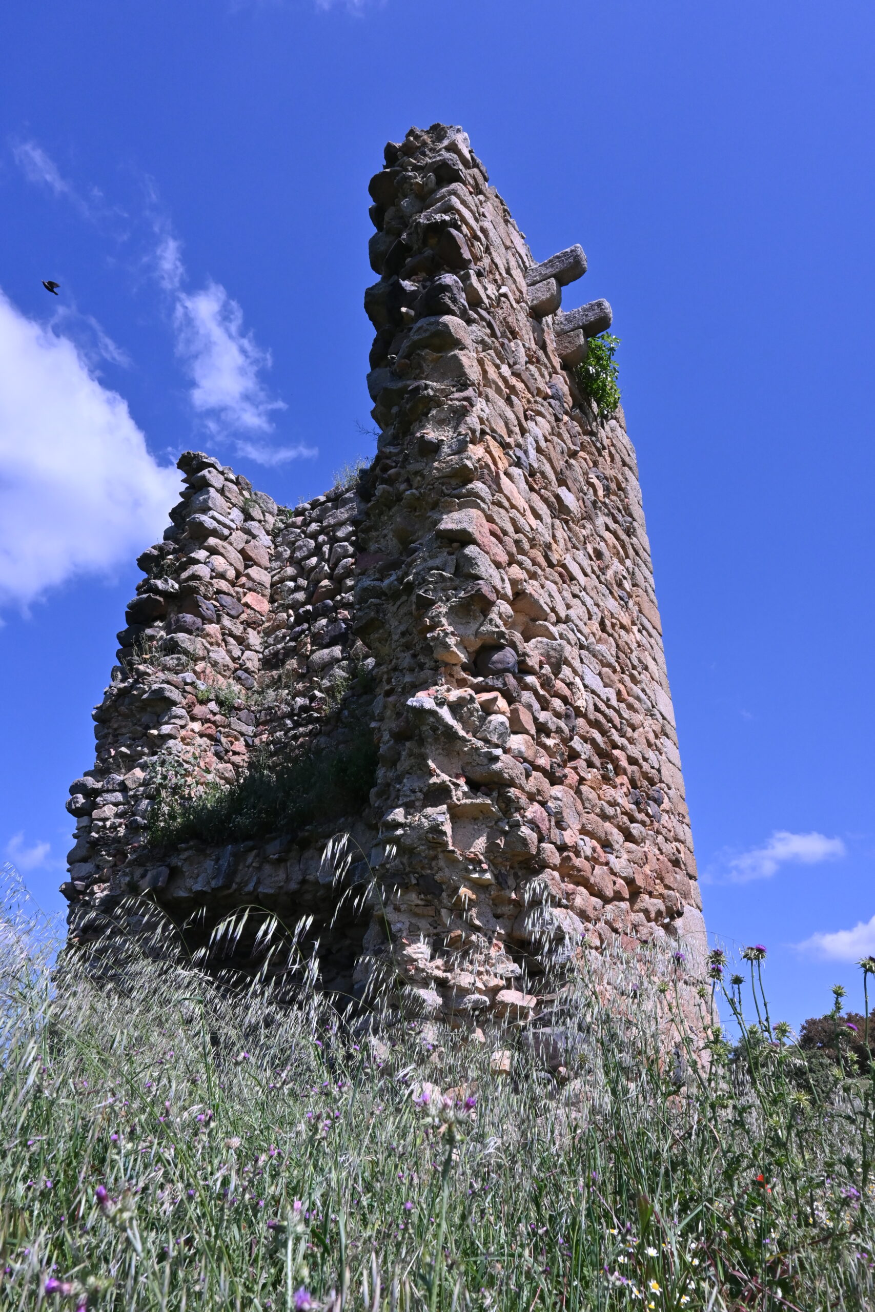 CBC_1498