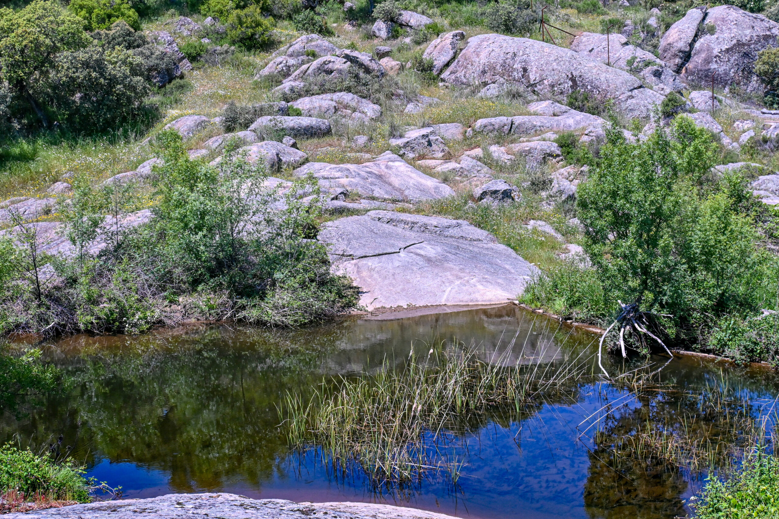 CBC_1573